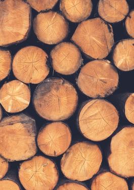 Forestry & Timber Certification